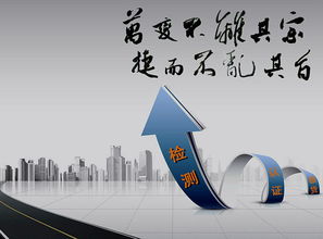 玩具出口檢測服務 高清圖片展示與技術咨詢指南
