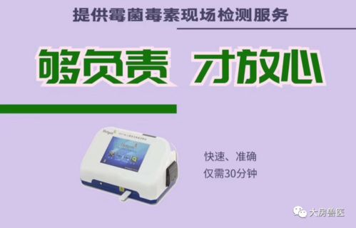家禽養殖雙刃劍 免疫抑制與霉菌毒素的綜合防控策略