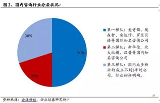 融合多元力量 戰(zhàn)略視角下的經(jīng)濟(jì)、技術(shù)與人力資源咨詢整合之道